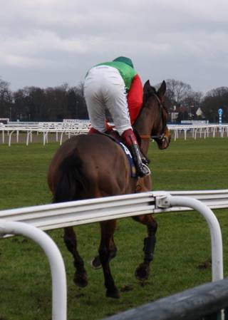 Kempton Park 27 Feb 2010 g r.jpg