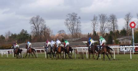 Kempton Park 27 Feb 2010 h r.jpg