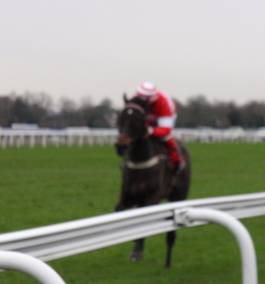Race 1 f.jpg