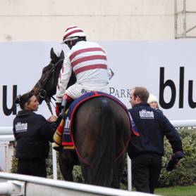 race 6 f.jpg