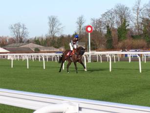 Race 1 g Maximus Maridius.jpg