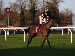 Race 4 d Ch Tibello.jpg