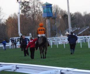 Race 5 o Thistlecrack.jpg