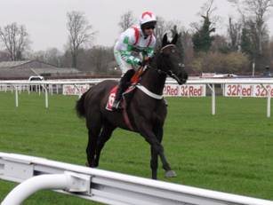 Race 1 6 Mister Fisher.jpg