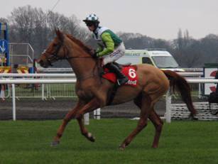 Race 23 Topofthegame 2.jpg