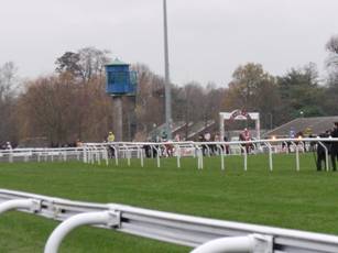 Race 5 a.jpg