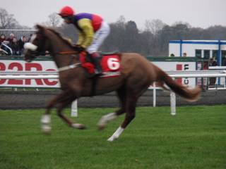 Race 5 b Native River.jpg