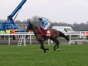 Race 5 c Double Shuffle.jpg