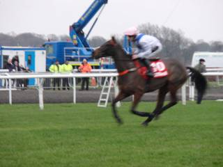 Race 5 d Waiting Patiently.jpg