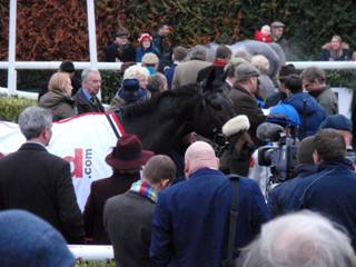 Race 5 n.jpg