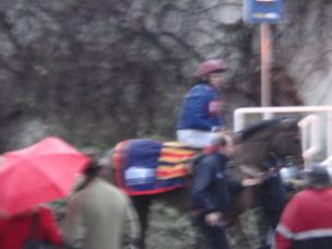 race 6 b r.jpg