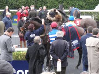 Race 1 m.jpg
