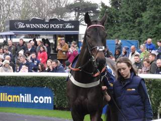 Race 2 c.jpg