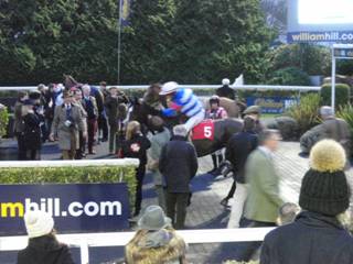Race 6 b.jpg