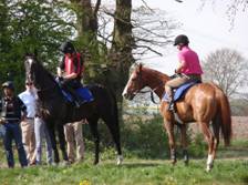 Schooling 2 r.jpg