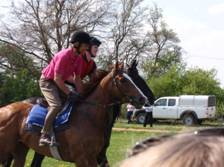 Schooling 3 r.jpg