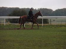 Typhon De Guye & Harry Skelton r.jpg