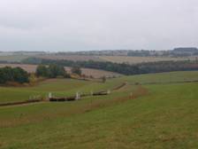 the gallops.jpg