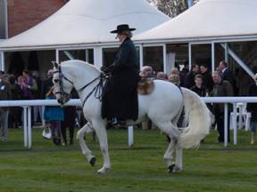 Pre races r.jpg