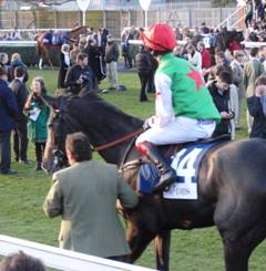 race 7 a r.jpg