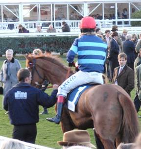 race 7 f r.jpg