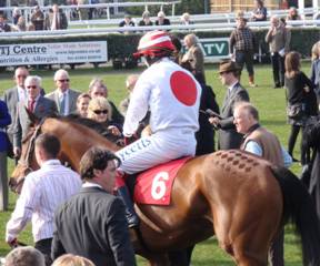Newbury 21 March 09 red d.jpg