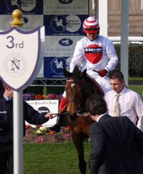 Newbury 21 Mar 09 red f.jpg