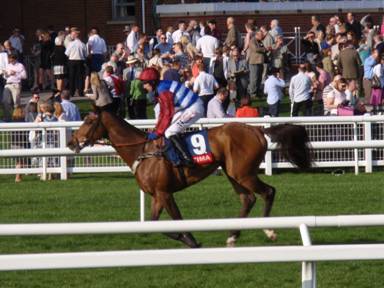 Newbury race 5 5 r.jpg