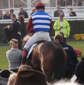 Newbury 26 03 2011 n r.jpg