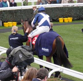 Newbury 27 March 2010 a r.jpg