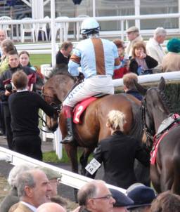 Newbury 27 March 2010 e r.jpg