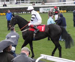 Newbury 27 March 2010 m r.jpg