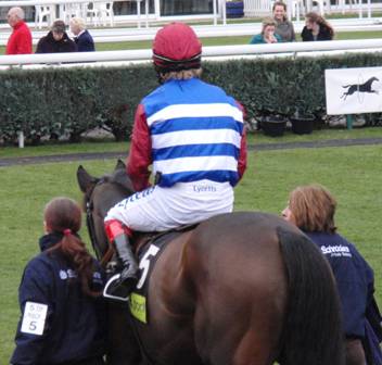 Newbury 28 Feb 09 red f.jpg