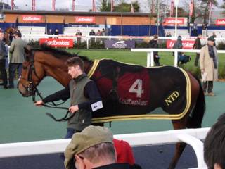 4 Ballymoy 1.jpg