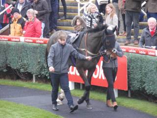 Race 1 f Monar Rose.jpg