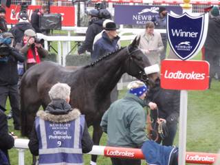 Race 1 m Dame Rose winner.jpg