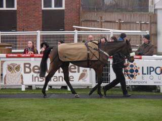 Race 3 i On Tour.jpg