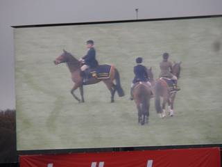 ROR Horses on course.jpg