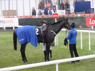 Race 3 o Gentlement John 3rd.jpg