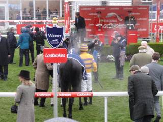 Race 3 s Gold Present.jpg