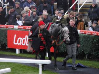 Race 4 o Air Horse One.jpg