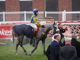 Race 4 t Master Dancer.jpg