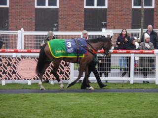 Race 5 c Mount Mews.jpg