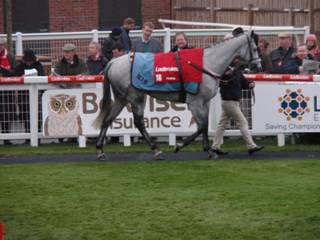 Race 6 PR m Vyta Du Roc.jpg