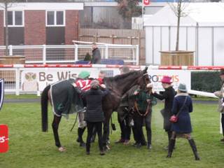 Race 6 e Braqueuer D'Or 4th.jpg