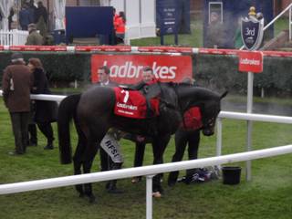Race 6 f Regal Encore 3rd.jpg