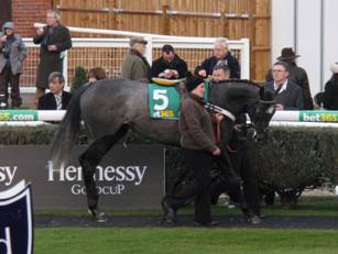 Race 5 Omessa Has.jpg