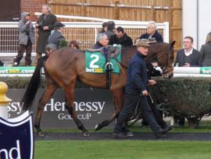 Race 5 Ozzie The Oscar.jpg