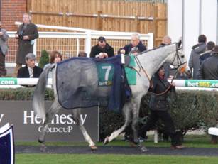 Race 5 Theligny.jpg