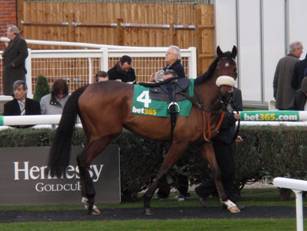 Race 5 Tommy Silver.jpg